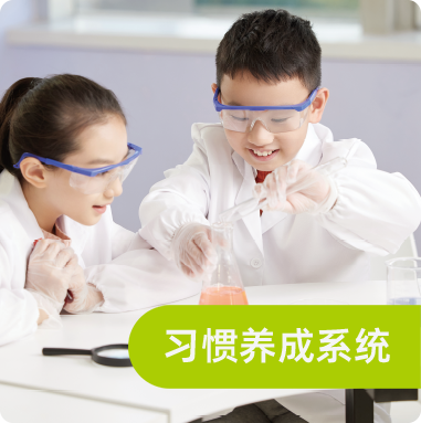 习惯养成系统